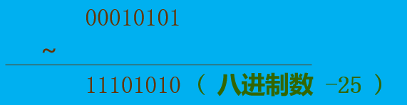 C语言入门系列之12.位运算