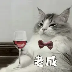 我在618主场，和3位顶尖技术博士聊了聊