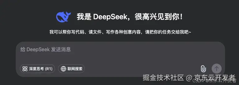 🧐 DeepSeek-R1原理解析及项目实践（含小白向概念解读）