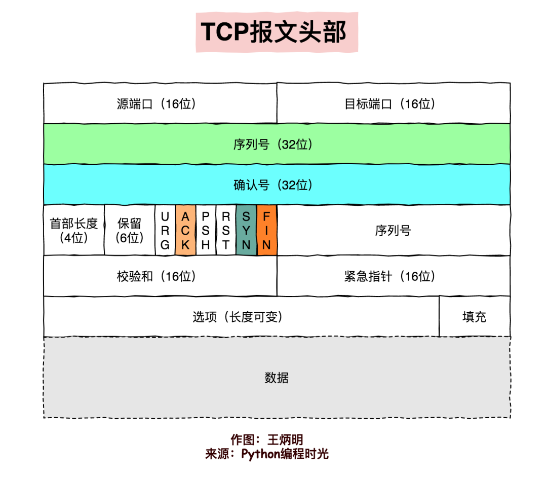 网络知识扫盲：扒开 TCP 的外衣，我看清了 TCP 的本质