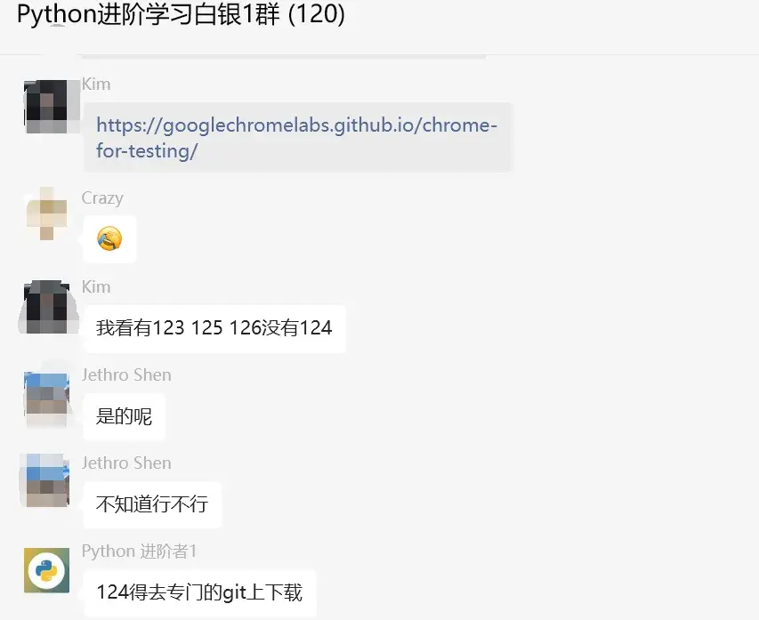 Google Chrome驱动程序 124.0.6367.62（正式版本）去哪下载？