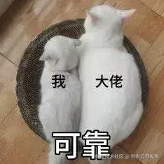 我在618主场，和3位顶尖技术博士聊了聊
