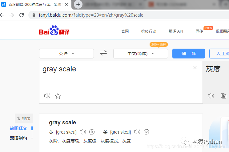 图像灰度与灰阶的纠结：gray level/scale译文释义