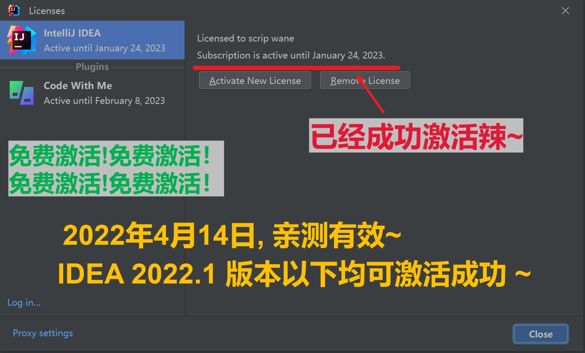 IDEA 2022.1 成功激活至2099年截图