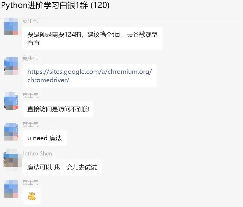 Google Chrome驱动程序 124.0.6367.62（正式版本）去哪下载？