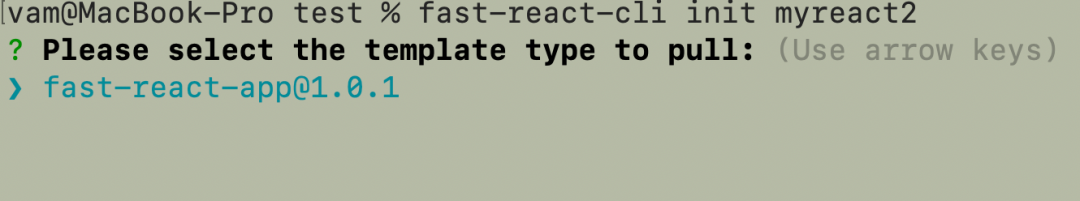 正式发布一款可cmd命令安装的React.js项目脚手架——FastReactApp