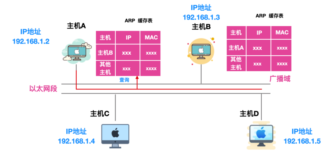 牛逼！一篇文章讲透详解 ARP 协议