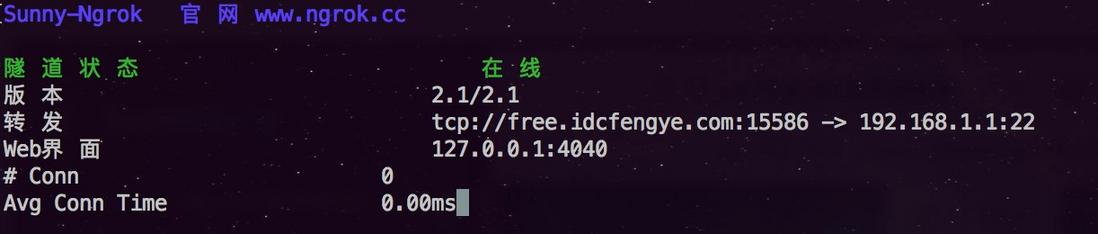 内网穿透：Sunny-Ngrok TCP隧道