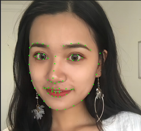 （九）OpenFace解析（GPUPixel）