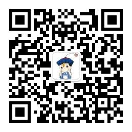 我的编程故事