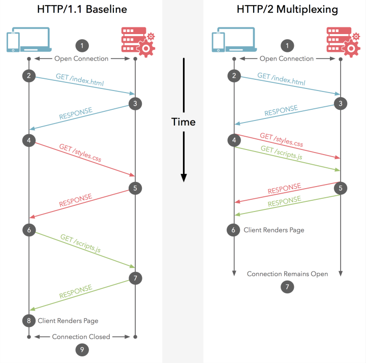 HTTP全解析