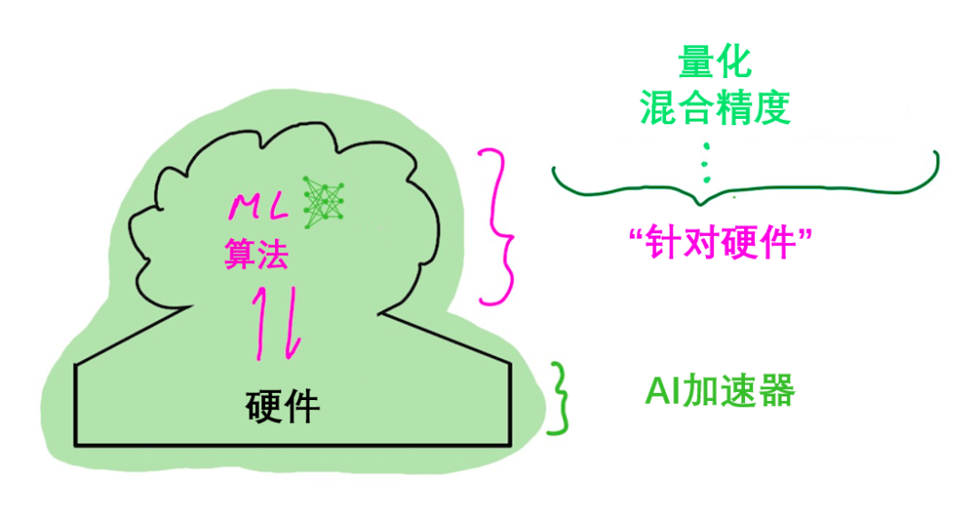 AI加速器与机器学习算法：协同设计与进化