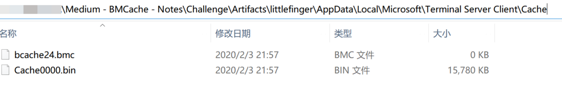Windows 取证之BMChache