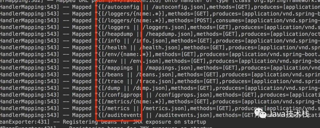 Spring Boot 项目如何做性能监控？