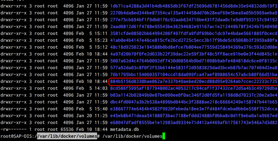 在SAP云平台上部署和运行Docker应用