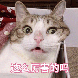 从萌芽到巨人: 揭秘Rod Johnson与Spring框架的故事