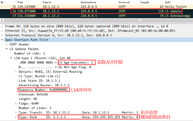 OSPF基础——区域内LSA