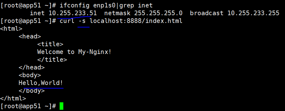 docker 启动nginx，指定映射目录，启动后nginx不退出
