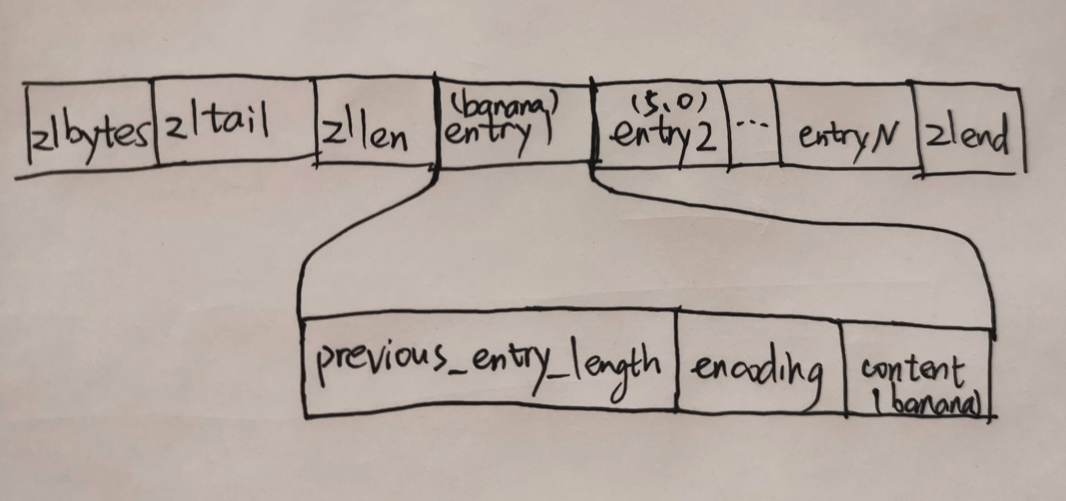 【Redis5源码学习】2019-04-17 压缩列表ziplist