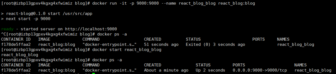 Docker 部署 React 全栈应用
