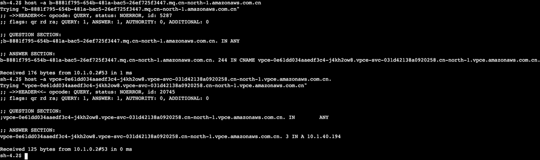 通过自定义域名 + SSL 的方式访问 Amazon MQ for RabbitMQ