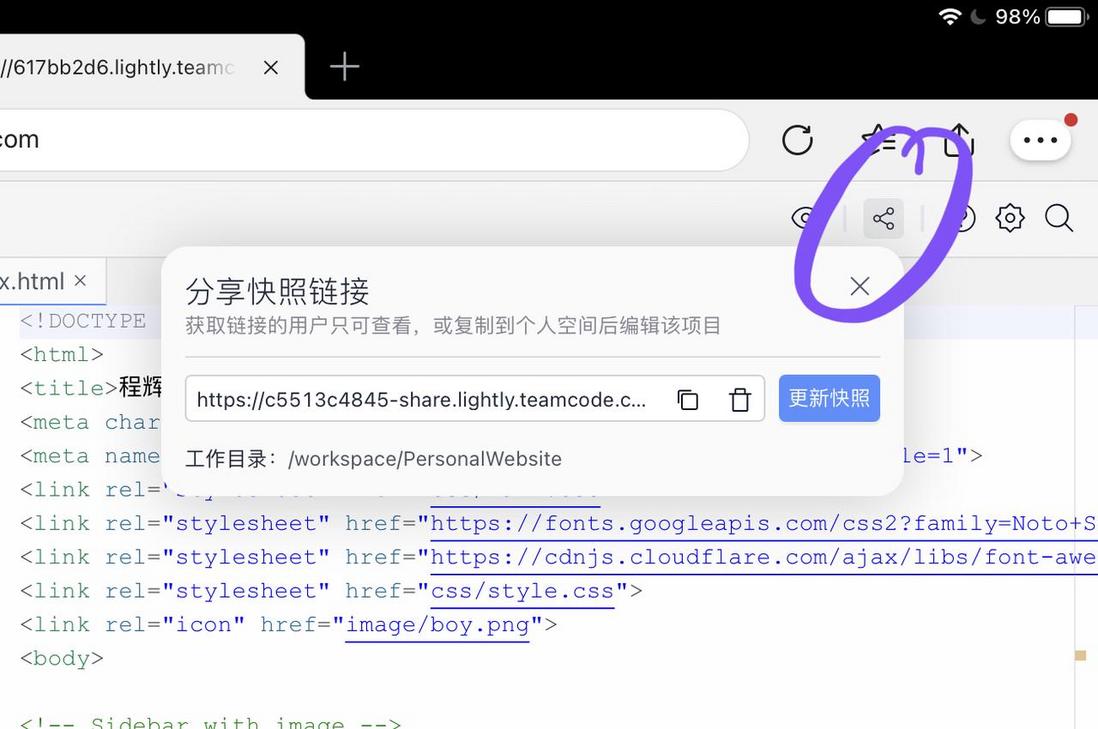 如何使用 Lightly 分享项目？