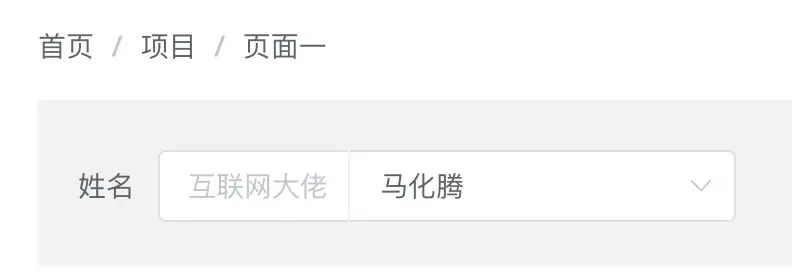 Element-UI中Select选择器详解