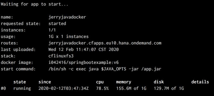 在SAP云平台上部署和运行Docker应用