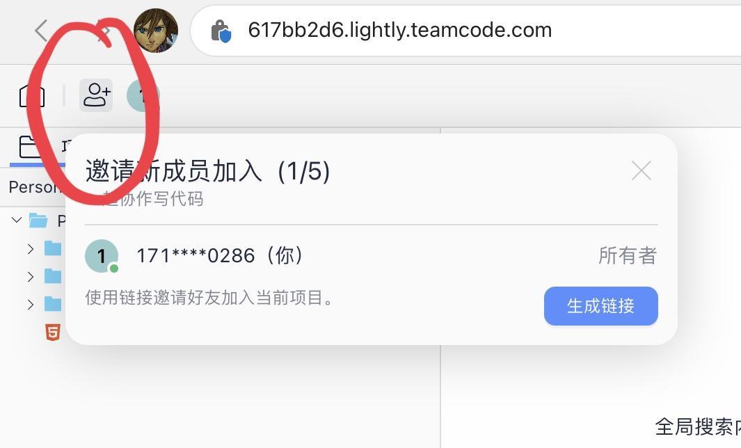 如何使用 Lightly 分享项目？