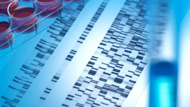 拓端tecdat|R语言中的生存分析Survival analysis晚期肺癌患者4例