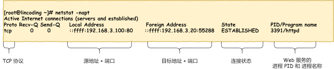 硬不硬你说了算！35 张图解被问千百遍的 TCP 三次握手和四次挥手面试题