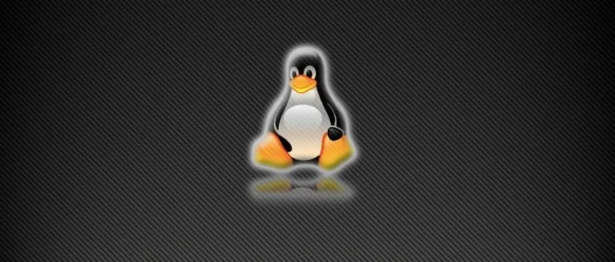 每天学一个 Linux 命令（59）：ssh