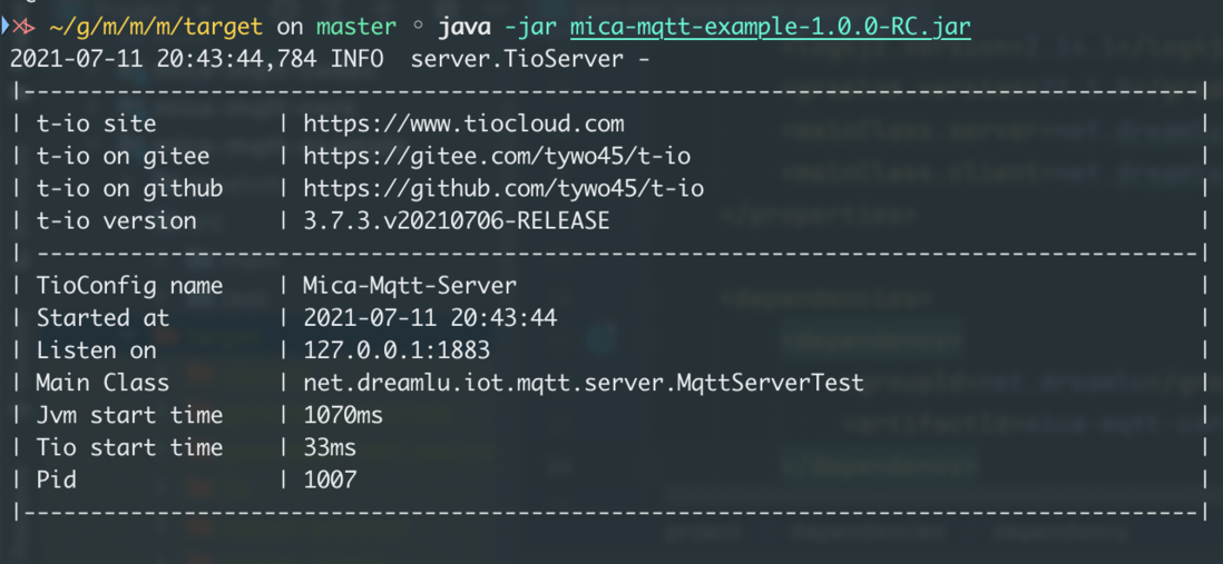 t-io 之 GraalVM 本机可执行程序实战