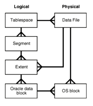 Oracle的数据存储结构