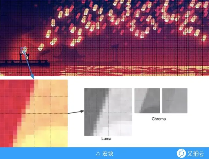 WebP 大战 JPEG，谁才是真正的王者？