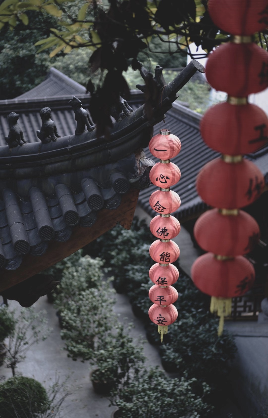 一个小小前端的 2020 年流水账