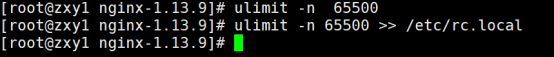 Linux系统源码安装Nginx