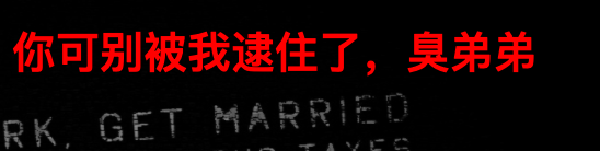CTF-Web-[极客大挑战 2019]HardSQL