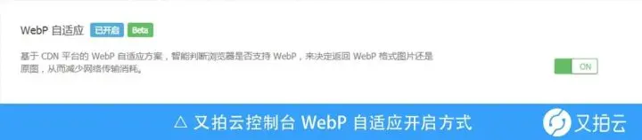 WebP 大战 JPEG，谁才是真正的王者？