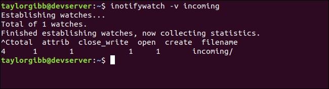 Linux下处理隐私骚操作！