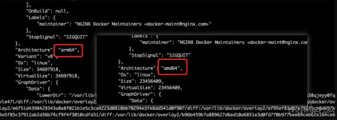 Dockerfile 构建 Vue 镜像踩坑记