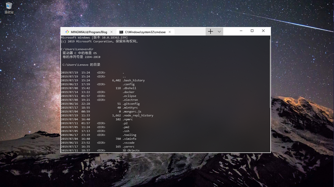 将 Git-bash 置入 Windows Terminal