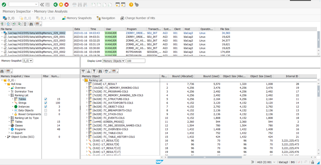 使用 SAP ABAP Memory Inspector 对应用程序消耗内存进行检测时常犯的错误试读版