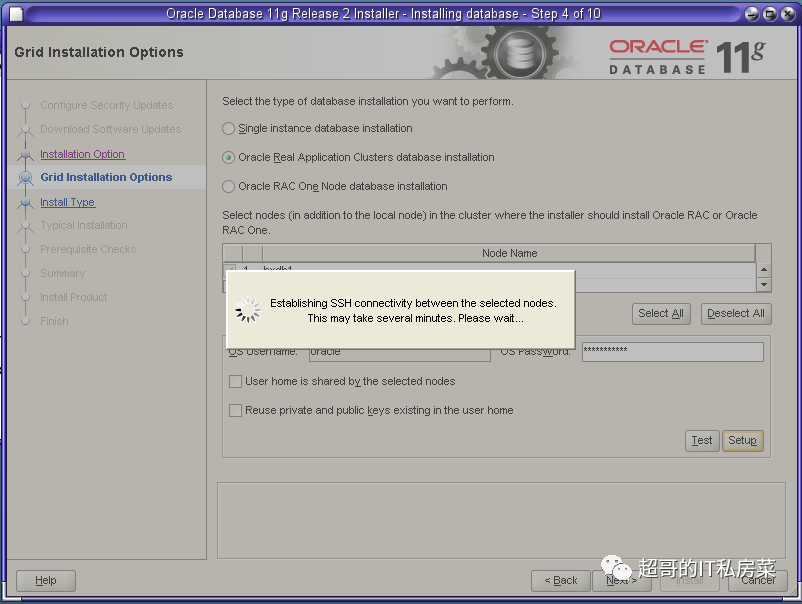 Oracle DBA-01_Oracle 11G R2 for Solaris 10（Spac）安装实施报告