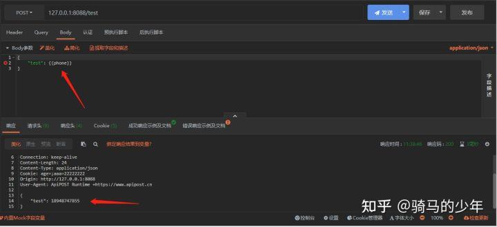 【转载】接口测试--apipost在json中如何使用mock变量