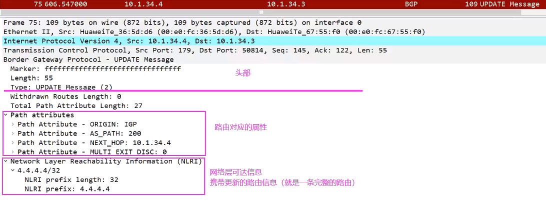 BGP——报文和路由传递规则