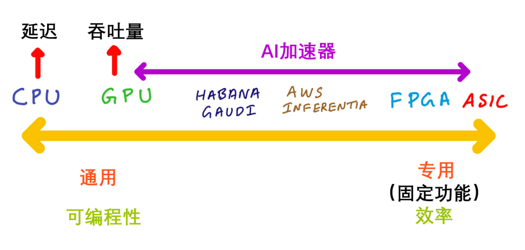 AI加速器与机器学习算法：协同设计与进化