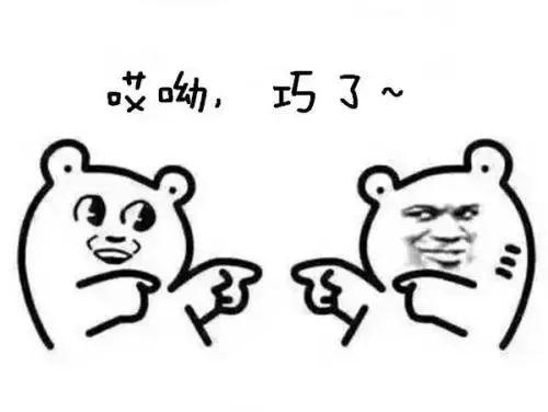 公司新来一个干练小伙，把 MyBatis 替换成 MyBatis-Plus，上线后哭晕在厕所。。。