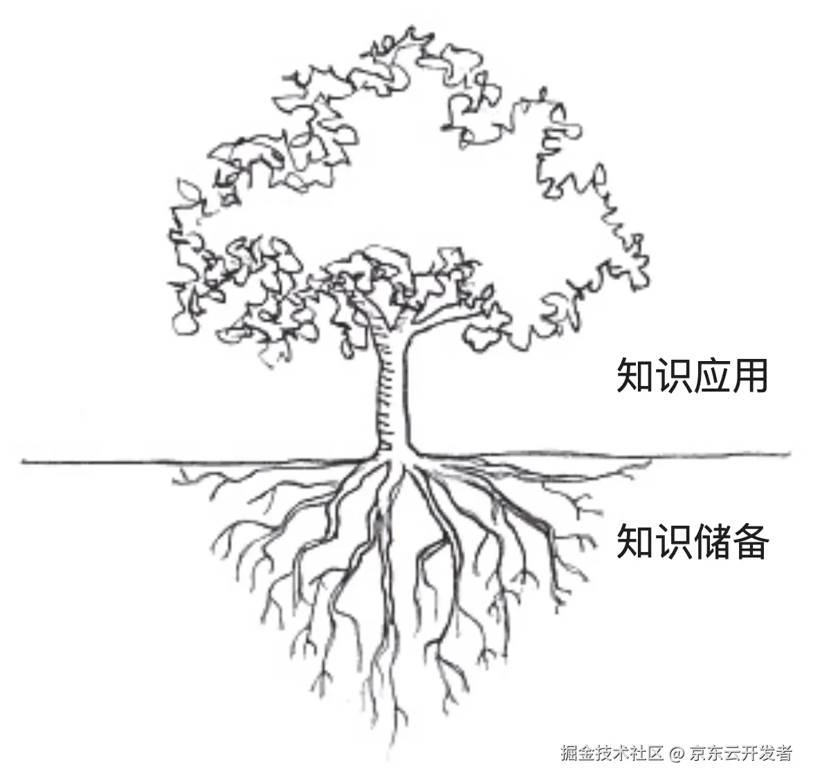 工作五年小结 | 面对不确定性快速上升的外部环境，我们该如何寻求突破？