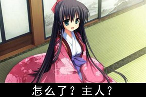 5 款让我又爱又恨的编程语言！